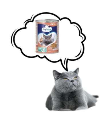 PREVITAL Cat Food with ASC salmon in jelly - wet food for cats - 415g