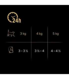 SHEBA Delicacy Fishy Flavours in jelly - wet cat food - 80x 85g