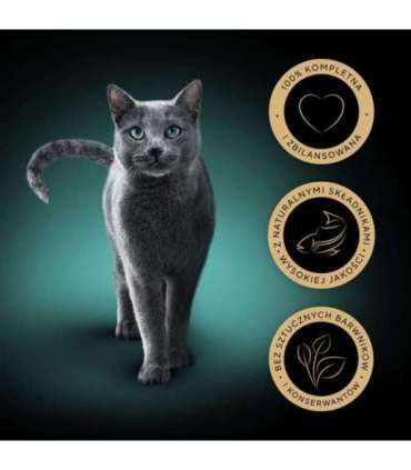 SHEBA Delicacy Fishy Flavours in jelly - wet cat food - 80x 85g