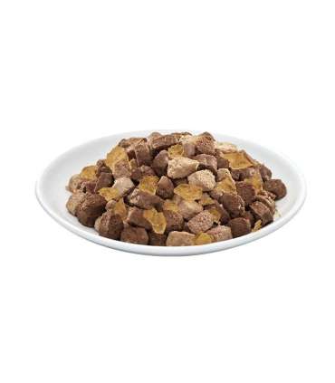 PREVITAL Beef in jelly - wet cat food - 100g