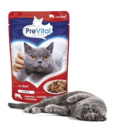 PREVITAL Beef in jelly - wet cat food - 100g