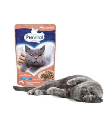 PREVITAL Salmon in gravy - wet cat food - 100g