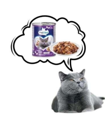 PREVITAL Cat Food with lamb and turkey in jelly - wet food for cats - 415g