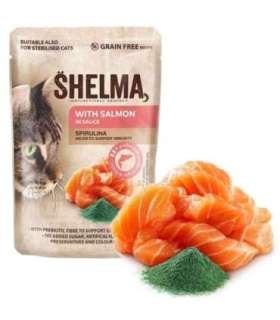 SHELMA with salmon in sauce - wet cat food - 85g