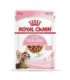 Royal Canin Sterilised Gravy 12x85g