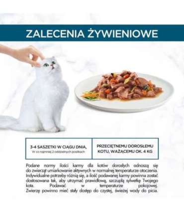 Purina GRMT PERLE GIGMV BEEF CRT cats moist food 85 g