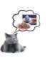 PREVITAL Chicken and veal in gravy - wet cat food - 4 x 100g