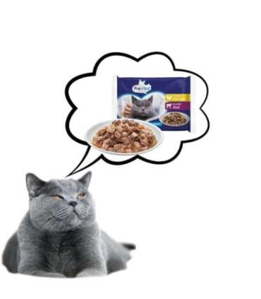 PREVITAL Chicken and veal in gravy - wet cat food - 4 x 100g