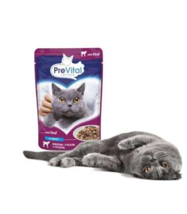 PREVITAL Veal in gravy - wet cat food - 100g