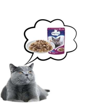 PREVITAL Veal in gravy - wet cat food - 100g