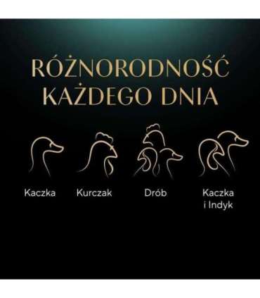 SHEBA Selection Select Slices Poultry Flavours - wet cat food - 40 x 85g