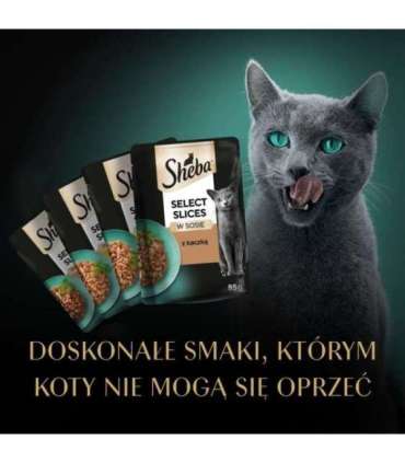 SHEBA Selection Select Slices Poultry Flavours - wet cat food - 40 x 85g