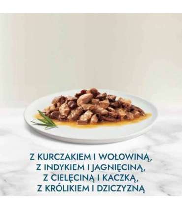 Purina 7613037552300 cats moist food 85 g