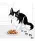 FELIX Fantastic with chicken in jelly - wet cat food - 85g
