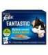 Felix Fantastic fish flavors in jelly with tuna, salmon, cod and flatfish - (12x 85 g)