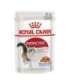 ROYAL CANIN FHN Instinctive in jelly - wet food for adult cats - 12x85g