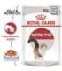 ROYAL CANIN FHN Instinctive in jelly - wet food for adult cats - 12x85g