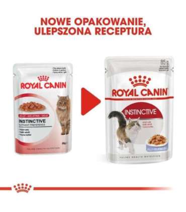 ROYAL CANIN FHN Instinctive in jelly - wet food for adult cats - 12x85g