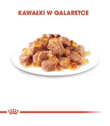 ROYAL CANIN FHN Instinctive in jelly - wet food for adult cats - 12x85g