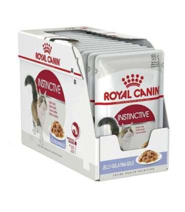 ROYAL CANIN FHN Instinctive in jelly - wet food for adult cats - 12x85g