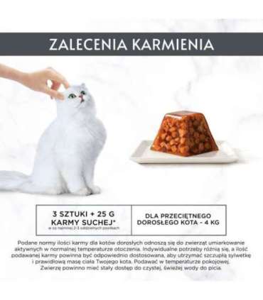 PURINA Gourmet Revelations Chunks in jelly with salmon - wet cat food - 2x57g