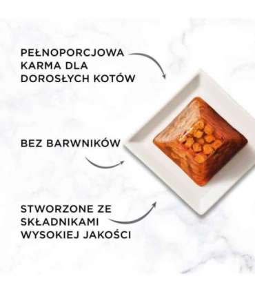 PURINA Gourmet Revelations Chunks in jelly with salmon - wet cat food - 2x57g