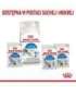ROYAL CANIN Indoor Sterilized - Wet food for adult cats - Chunks in sauce 12x85 g