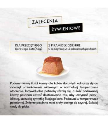 PURINA Gourmet Revelations Salmon - wet cat food - 2x57 g