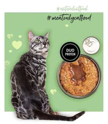 3COTY Chicken with goose - wet cat food - 80g