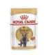 ROYAL CANIN British Shorthair packet 12x85g