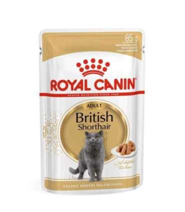 ROYAL CANIN British Shorthair packet 12x85g