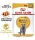 ROYAL CANIN British Shorthair packet 12x85g