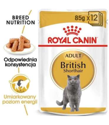 ROYAL CANIN British Shorthair packet 12x85g