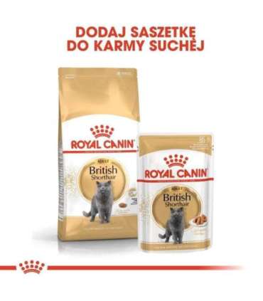 ROYAL CANIN British Shorthair packet 12x85g