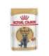 ROYAL CANIN British Shorthair packet 12x85g