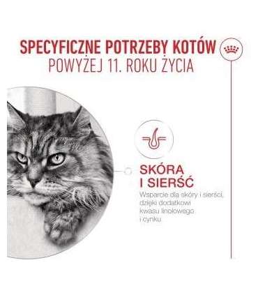 ROYAL CANIN Ageing 11+ Chunks in gravy - wet cat food - 12x85g