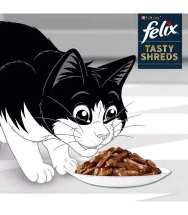FELIX Tasty Shreds with beef and chicken - 4x 80g