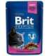 BRIT Cat Pouches Family Plate - wet cat food - 12 x 100g