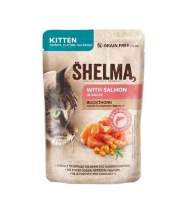 SHELMA Kitten with salmon and turkey in sauce - wet cat food - 4x85g