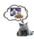 PREVITAL Cat Food Megabox with Lamb, Beef, Rabbit, and Chicken in Gravy - Wet Cat Food - 24 x 100g