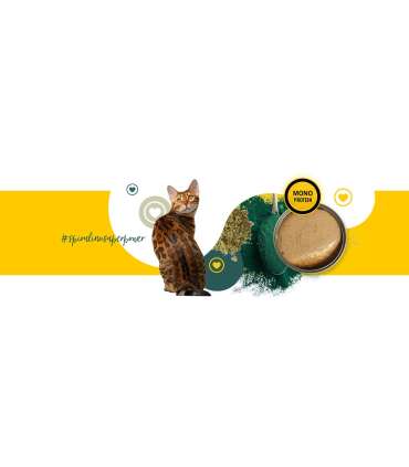 3COTY 48. Chicken with spirulina - wet cat food - 180g