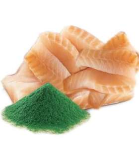 SHELMA with cod in sauce - wet cat food - 85g