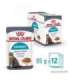 ROYAL CANIN Urinary Care in Gravy 12x85g