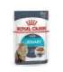 ROYAL CANIN Urinary Care in Gravy 12x85g