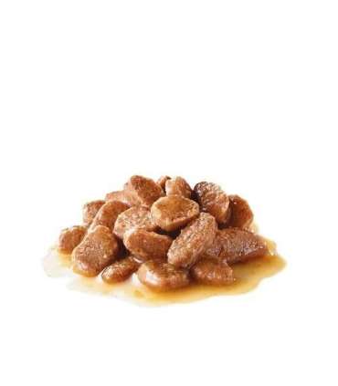 ROYAL CANIN Urinary Care in Gravy 12x85g