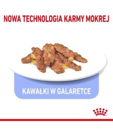 ROYAL CANIN FHN Indoor jelly - wet food for adult cats - 12x85g