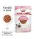 Royal Canin FHN Kitten Instinctive in sauce - wet food for kittens - 12x85g