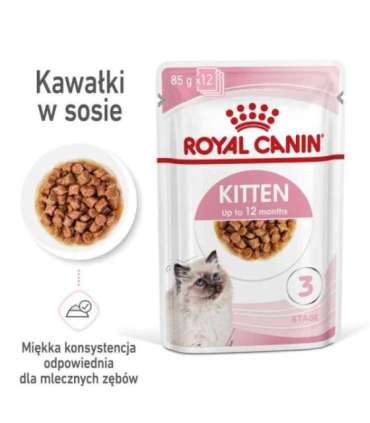 Royal Canin FHN Kitten Instinctive in sauce - wet food for kittens - 12x85g