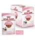 Royal Canin FHN Kitten Instinctive in sauce - wet food for kittens - 12x85g