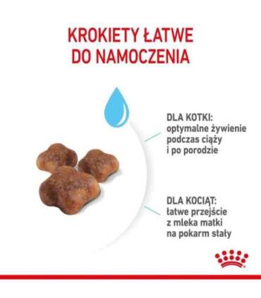 Royal Canin Mother & Babycat cats dry food 4 kg Adult Poultry